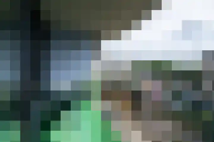 Zijpe 92 Zwolle thumbnail 7