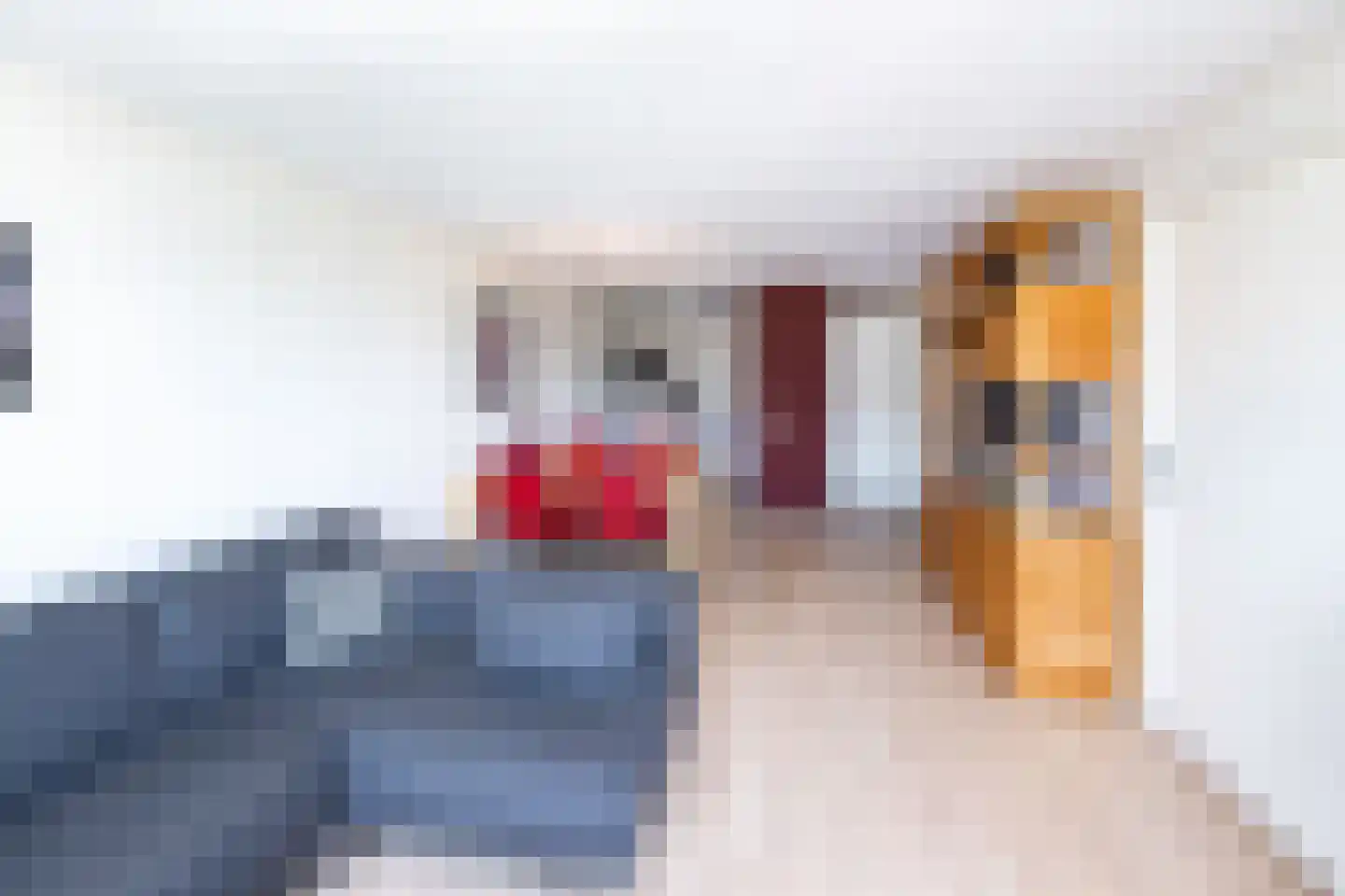 Zijpe 92 Zwolle thumbnail 7