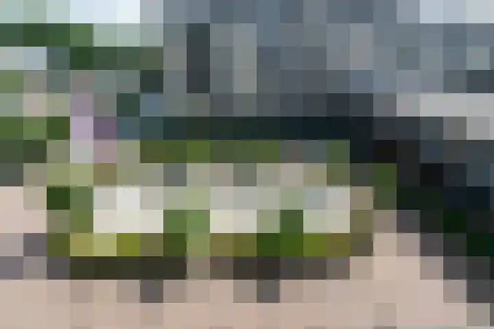Zijpe 92 Zwolle thumbnail 8