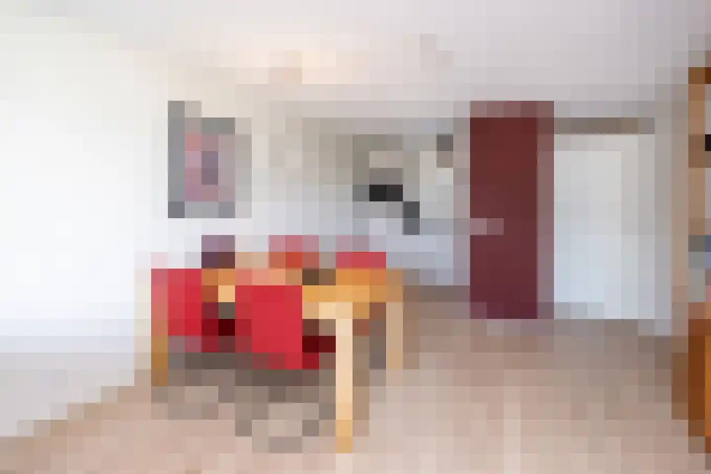 Zijpe 92 Zwolle thumbnail 9