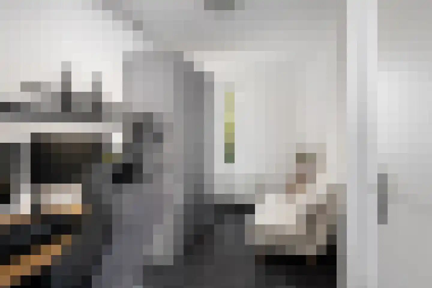 Zijpenberg 125 Capelle aan den IJssel thumbnail 15