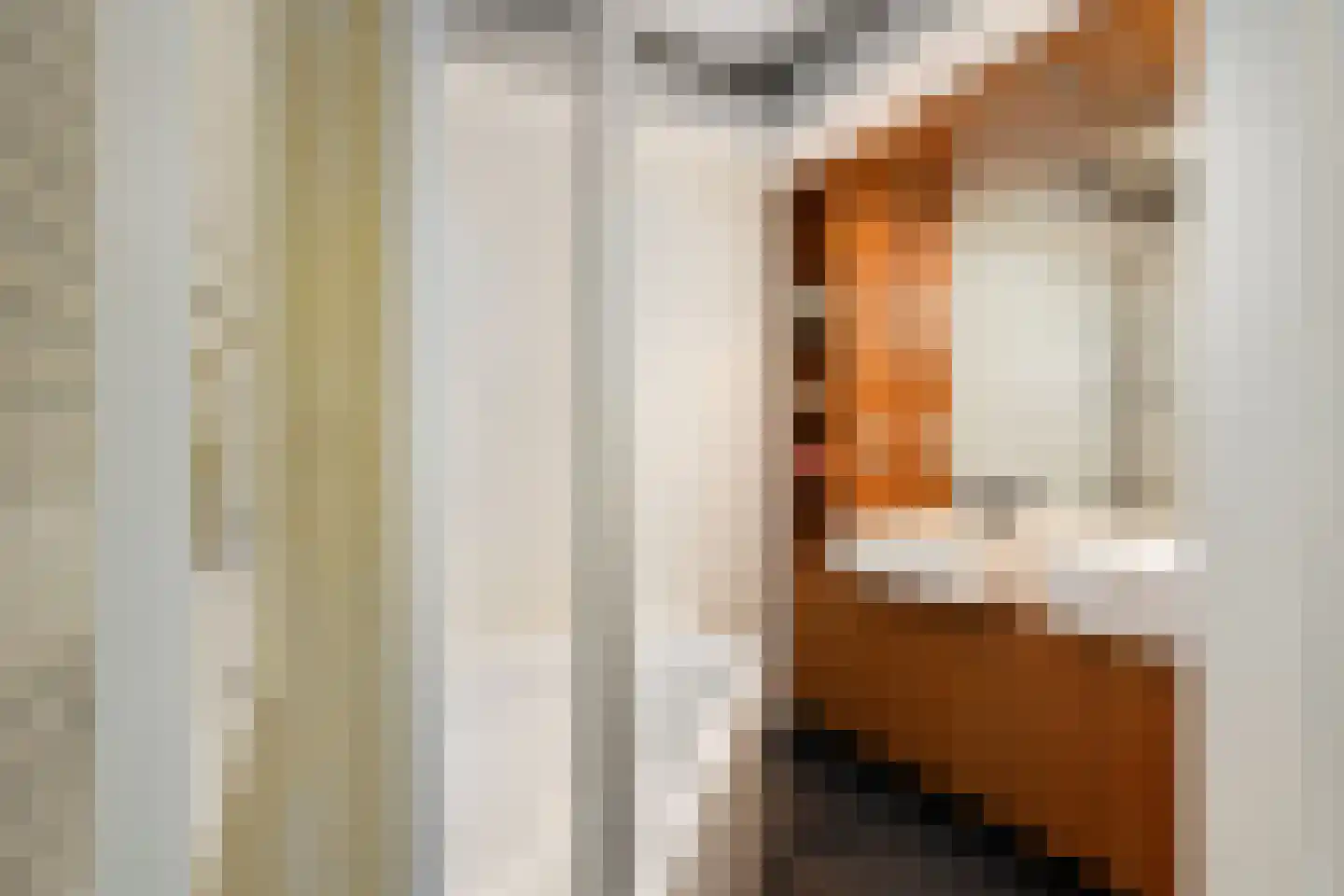 Zijpenberg 125 Capelle aan den IJssel thumbnail 19