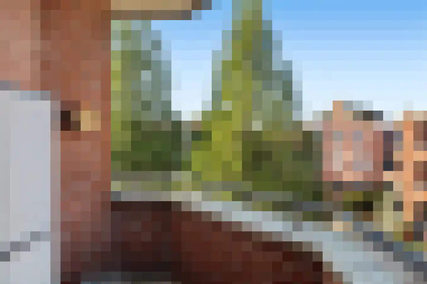 Zijpenberg 125 Capelle aan den IJssel thumbnail 25