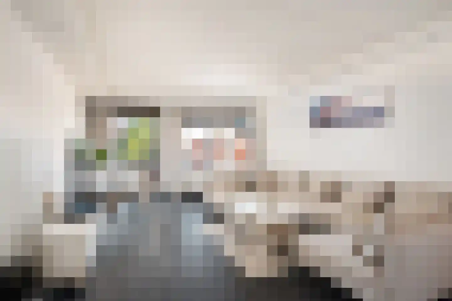 Zijpenberg 125 Capelle aan den IJssel thumbnail 5