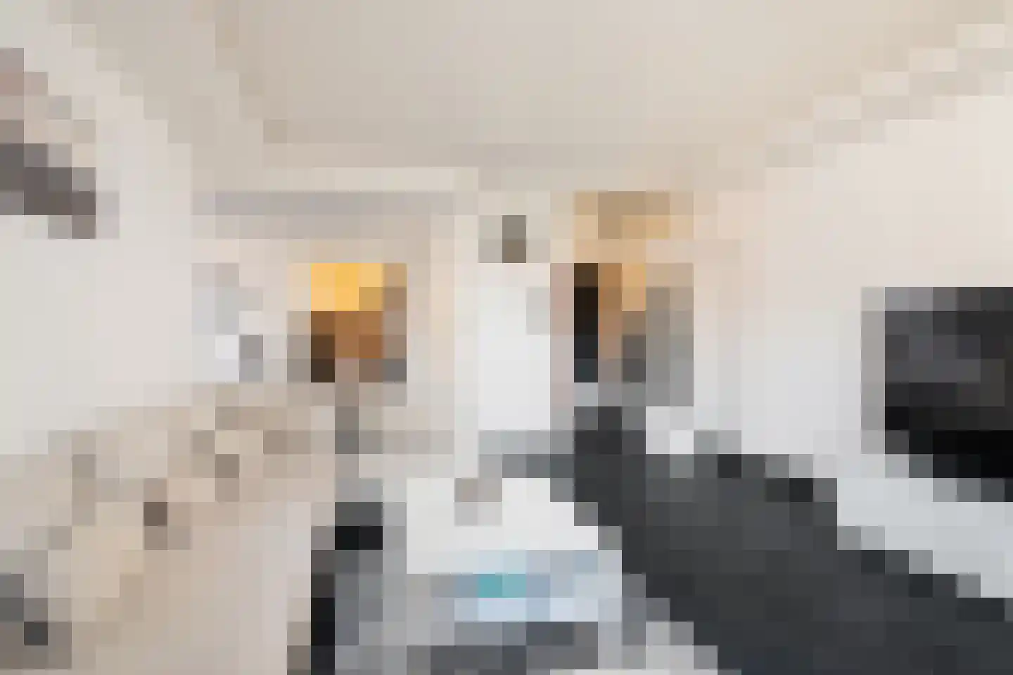Zijpenberg 125 Capelle aan den IJssel thumbnail 6