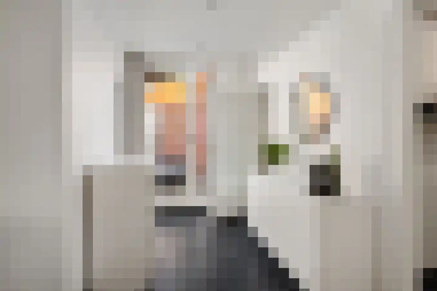 Zijpenberg 125 Capelle aan den IJssel thumbnail 9