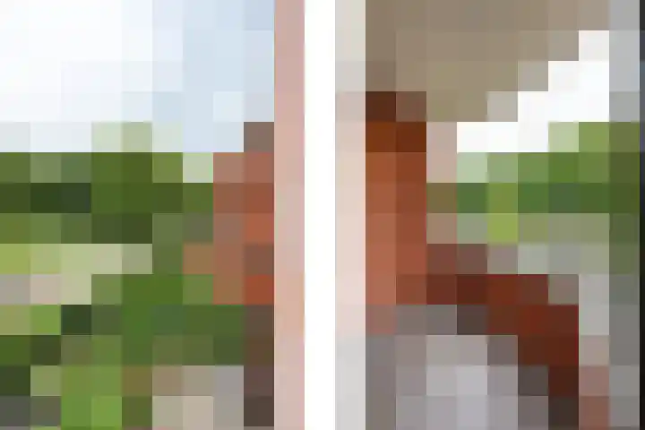 Zijpenberg 133 Capelle aan den IJssel thumbnail 15
