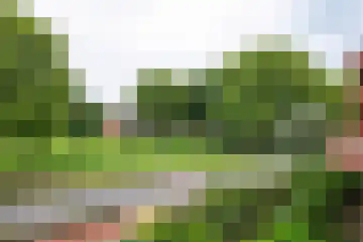 Zijpenberg 133 Capelle aan den IJssel thumbnail 16