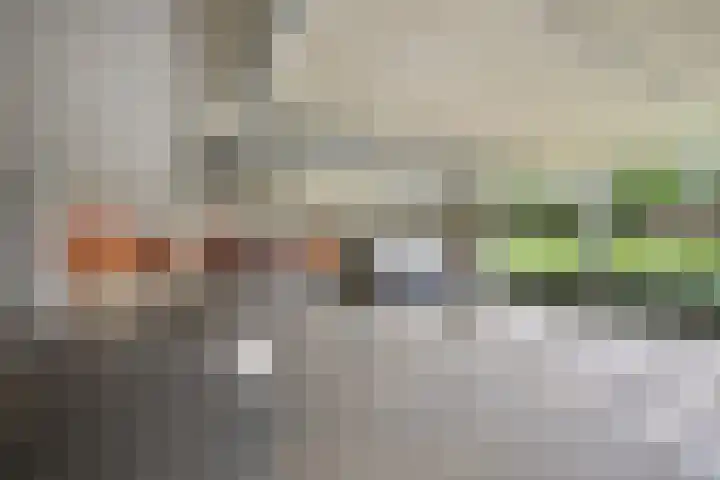 Zijpenberg 133 Capelle aan den IJssel thumbnail 18