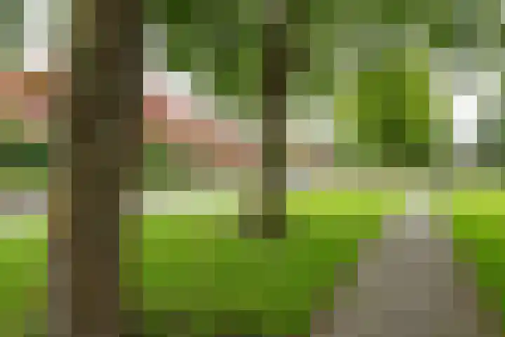 Zijpenberg 133 Capelle aan den IJssel thumbnail 19