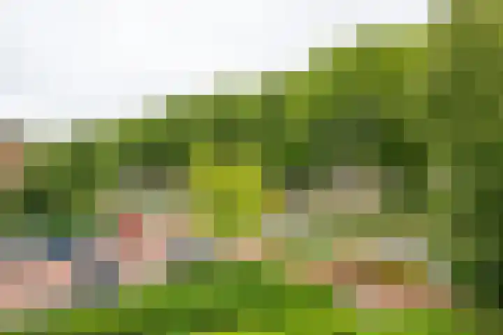 Zijpenberg 133 Capelle aan den IJssel thumbnail 20