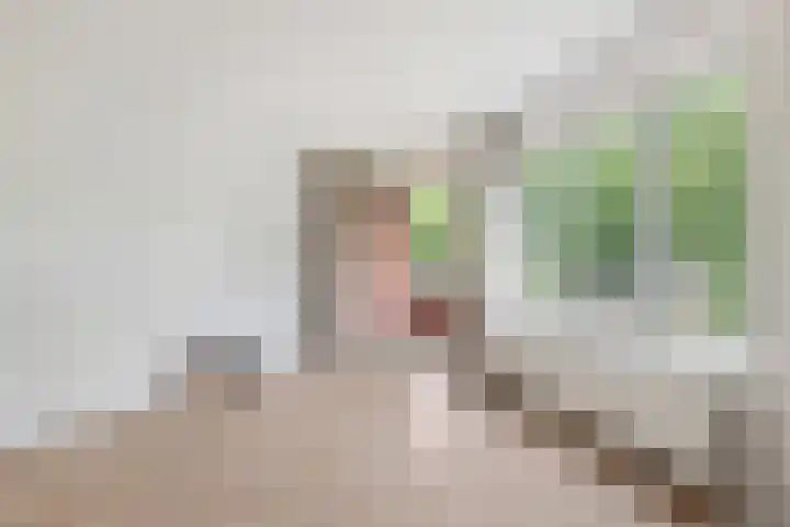 Zijpenberg 133 Capelle aan den IJssel thumbnail 4