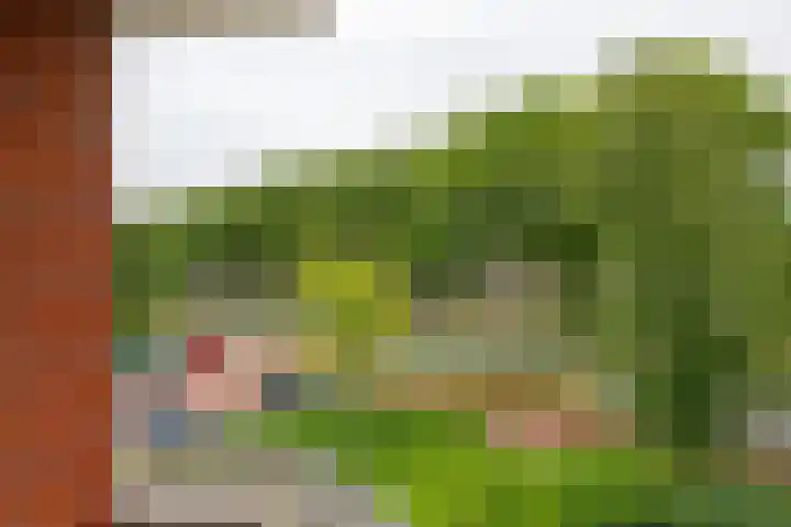 Zijpenberg 133 Capelle aan den IJssel thumbnail 5