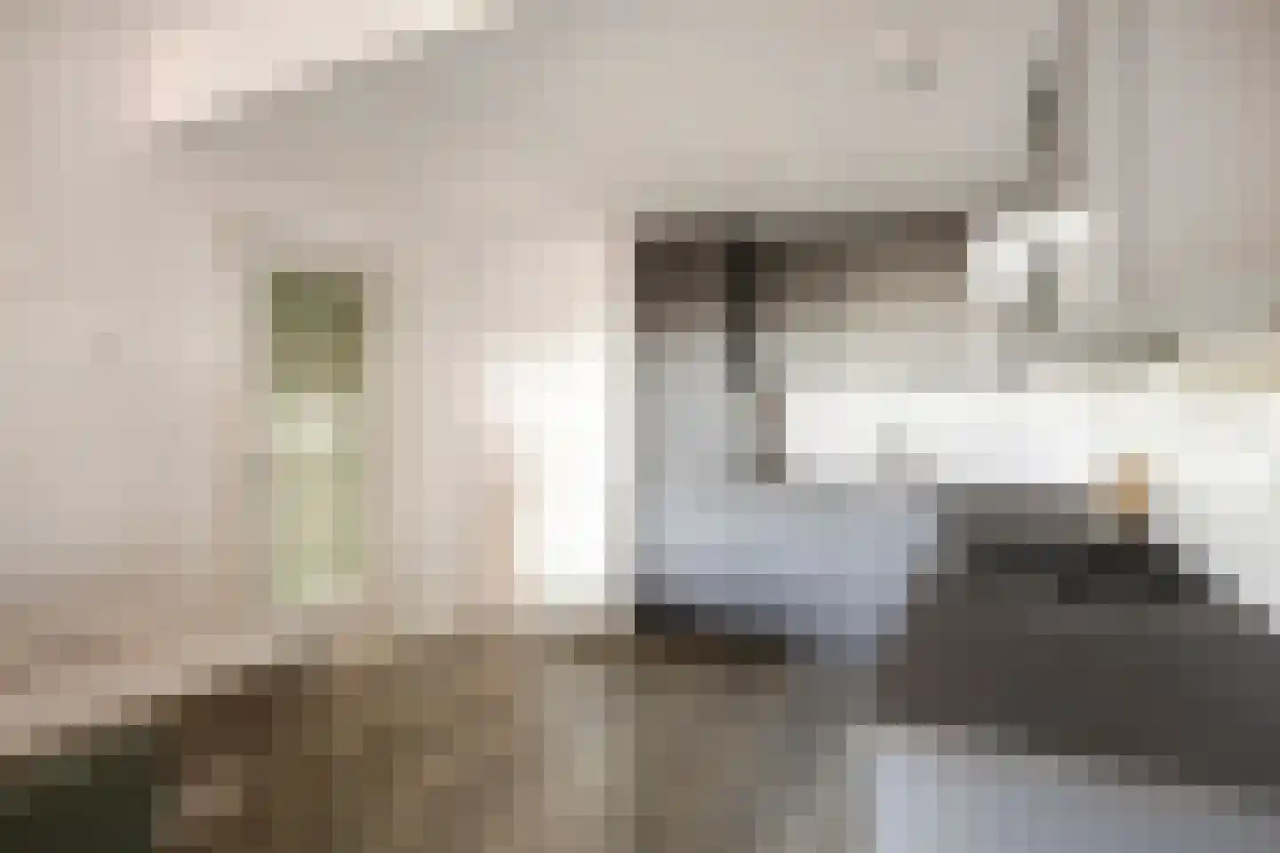 Zijpenberg 158 Capelle aan den IJssel thumbnail 5