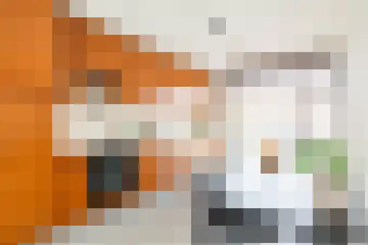 Zijpenberg 16 De Meern thumbnail 15