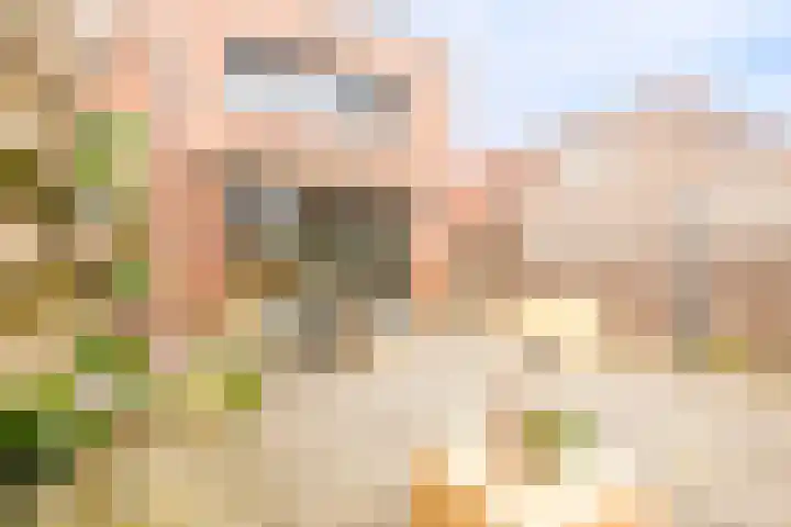 Zijpenberg 16 De Meern thumbnail 17