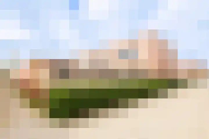 Zijpenberg 16 De Meern thumbnail 20