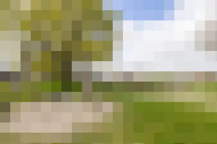 Zijpenberg 16 De Meern thumbnail 28