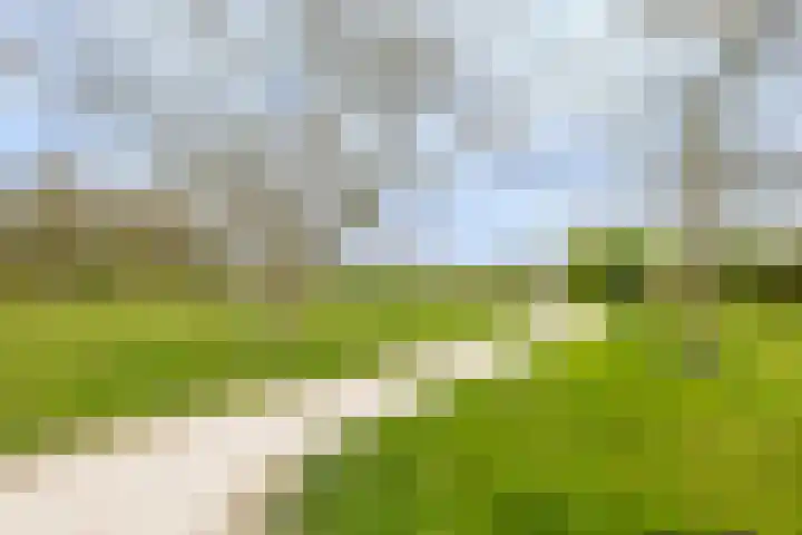 Zijpenberg 16 De Meern thumbnail 29