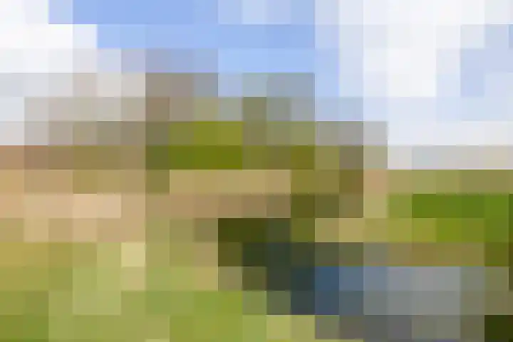 Zijpenberg 16 De Meern thumbnail 30