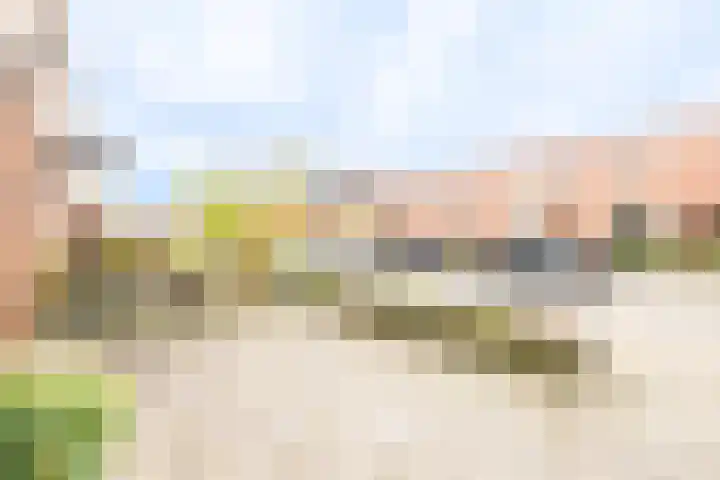 Zijpenberg 16 De Meern thumbnail 32