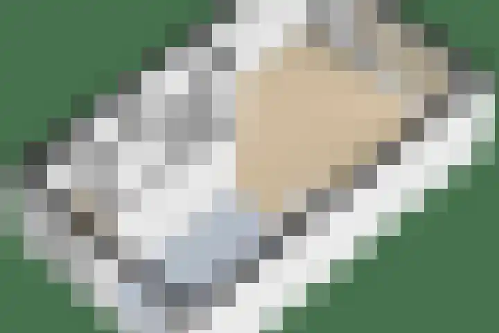 Zijpenberg 16 De Meern thumbnail 34