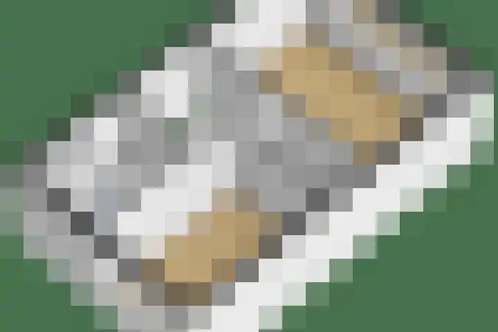 Zijpenberg 16 De Meern thumbnail 36