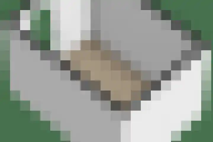 Zijpenberg 16 De Meern thumbnail 38