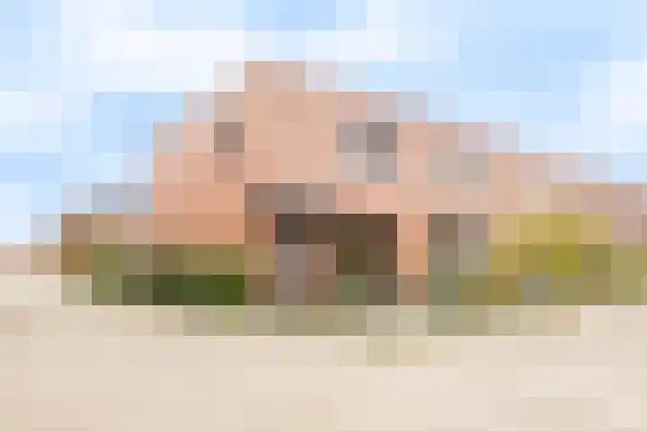 Zijpenberg 16 De Meern thumbnail 4