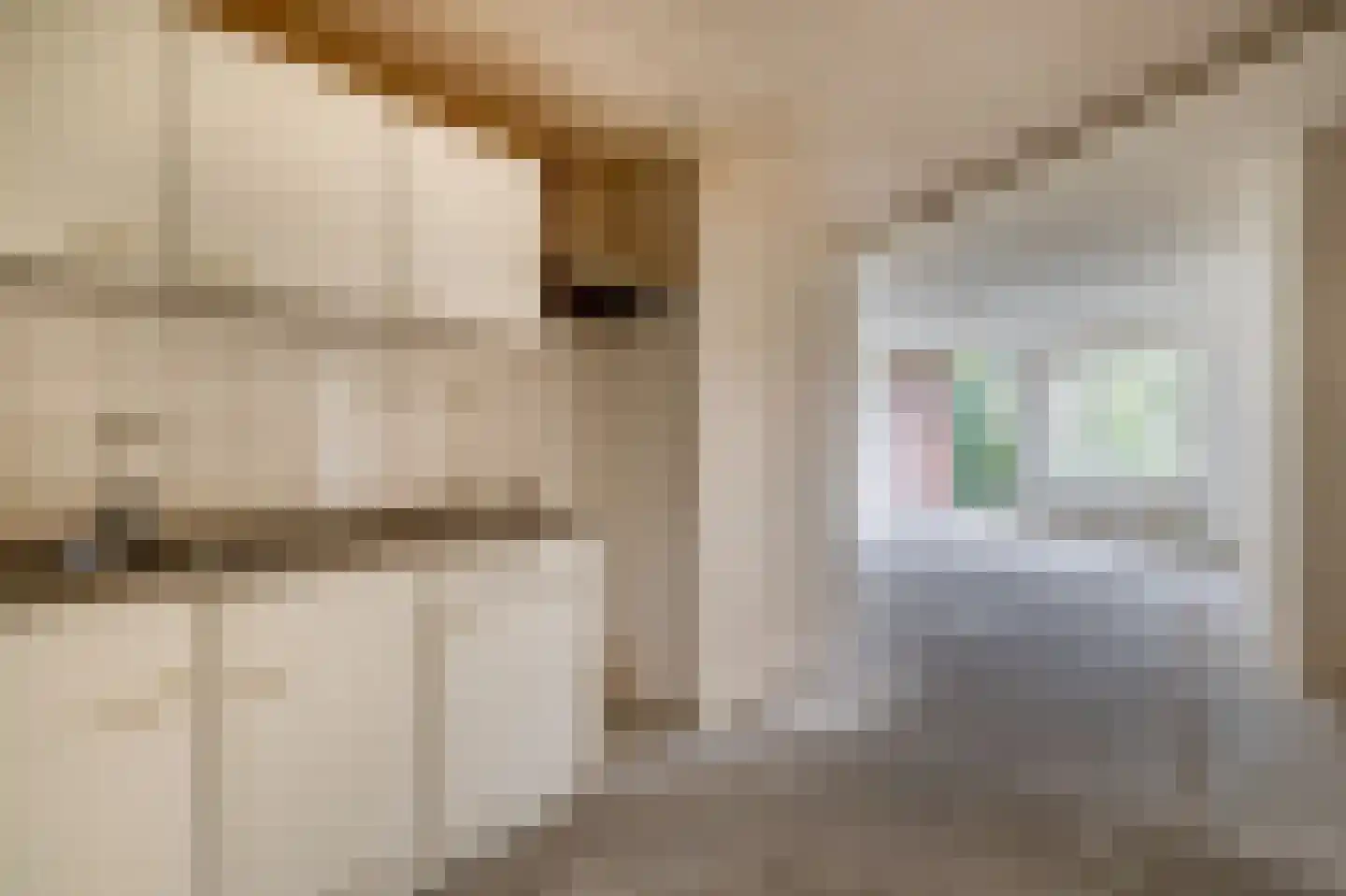 Zijpenberg 171 Capelle aan den IJssel thumbnail 20