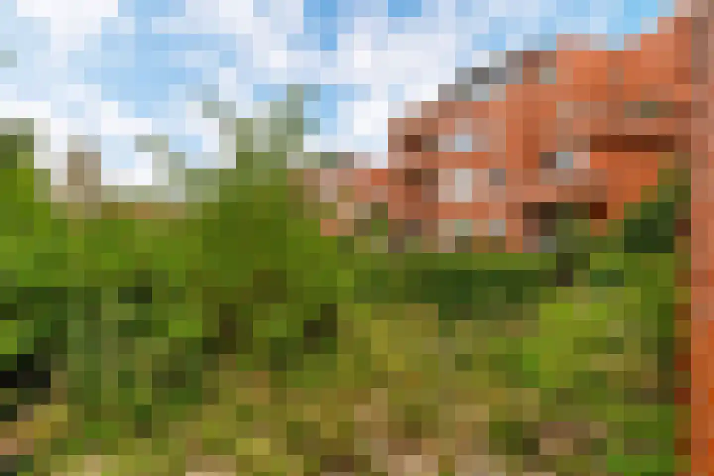 Zijpenberg 171 Capelle aan den IJssel thumbnail 34