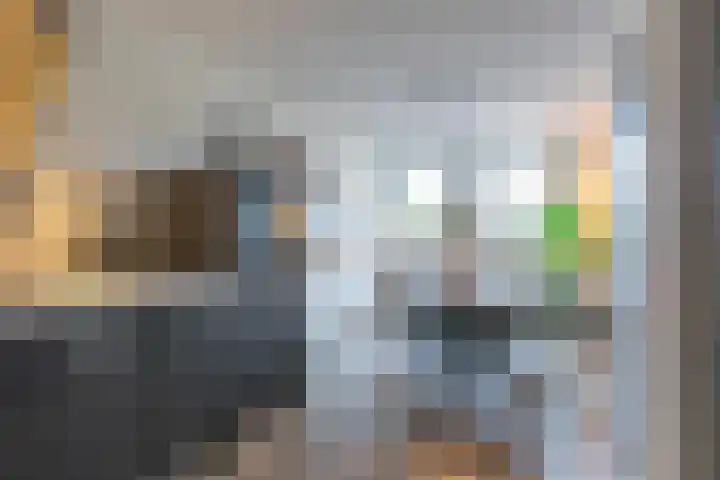 Zijpenberg 85 Amersfoort thumbnail 16