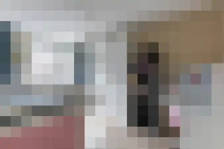 Zijpenberg 85 Amersfoort thumbnail 25