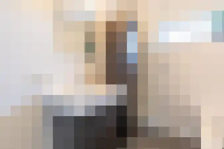 Zijpenberg 85 Amersfoort thumbnail 29