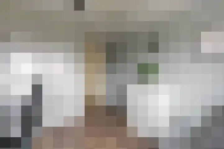 Zijpenberg 85 Amersfoort thumbnail 35
