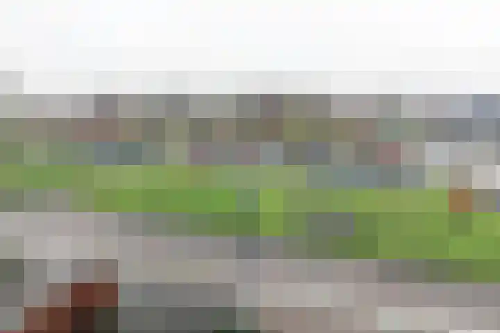 Zijpenberg 85 Amersfoort thumbnail 36