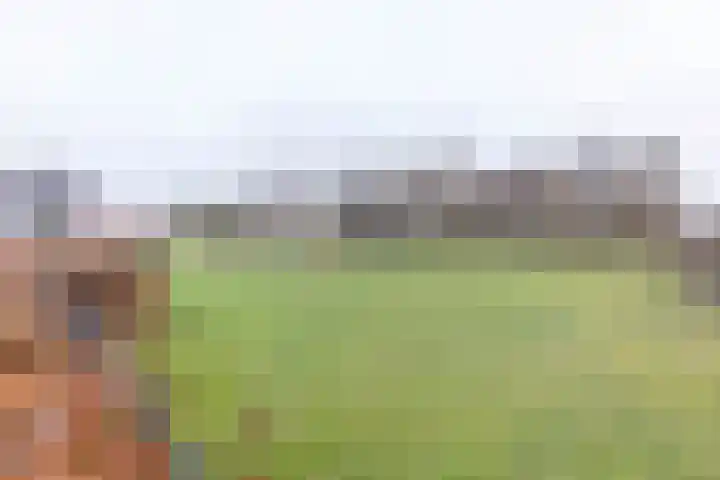 Zijpenberg 85 Amersfoort thumbnail 40