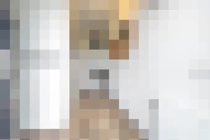 Zijpenberg 85 Amersfoort thumbnail 6