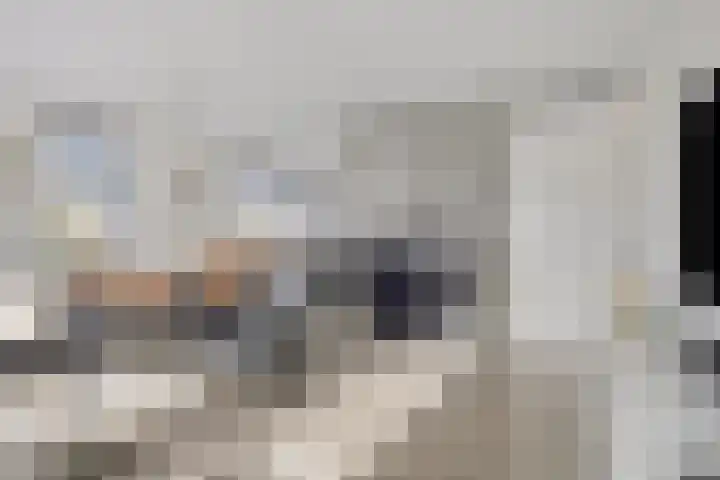 Zijpenbergerhout 9 Harderwijk thumbnail 16