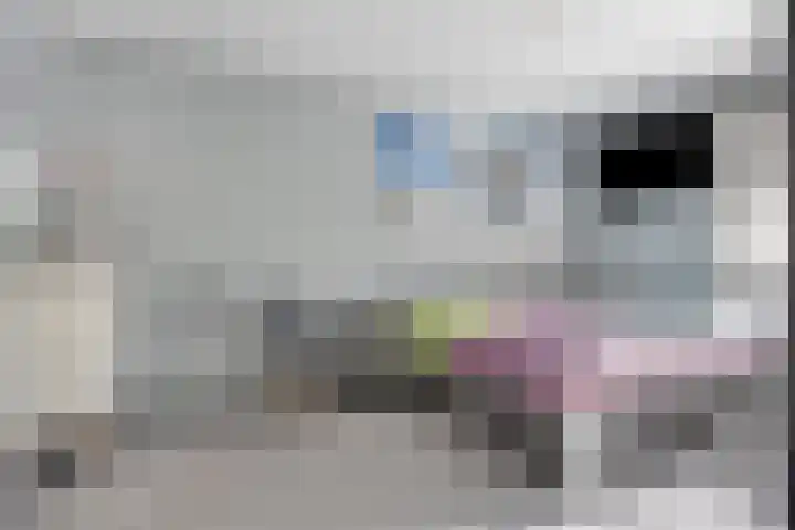 Zijpenbergerhout 9 Harderwijk thumbnail 24