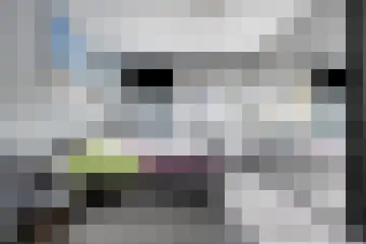 Zijpenbergerhout 9 Harderwijk thumbnail 25