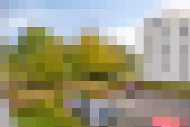 Zijpenbergerhout 9 Harderwijk thumbnail 29