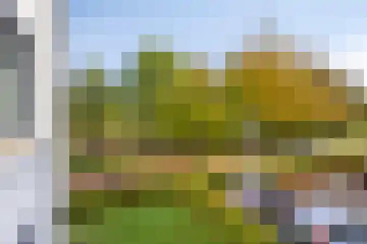 Zijpenbergerhout 9 Harderwijk thumbnail 30