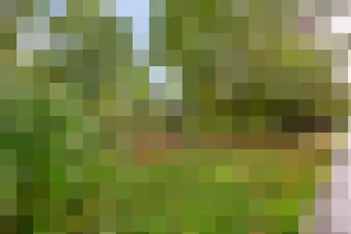 Zijpenbergerhout 9 Harderwijk thumbnail 31