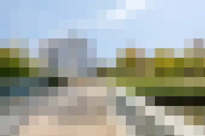 Zijpenbergerhout 9 Harderwijk thumbnail 32