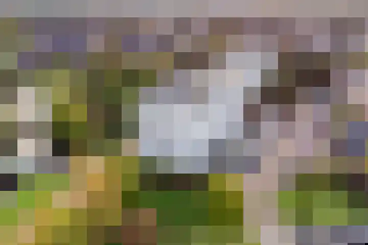 Zijpenbergerhout 9 Harderwijk thumbnail 34