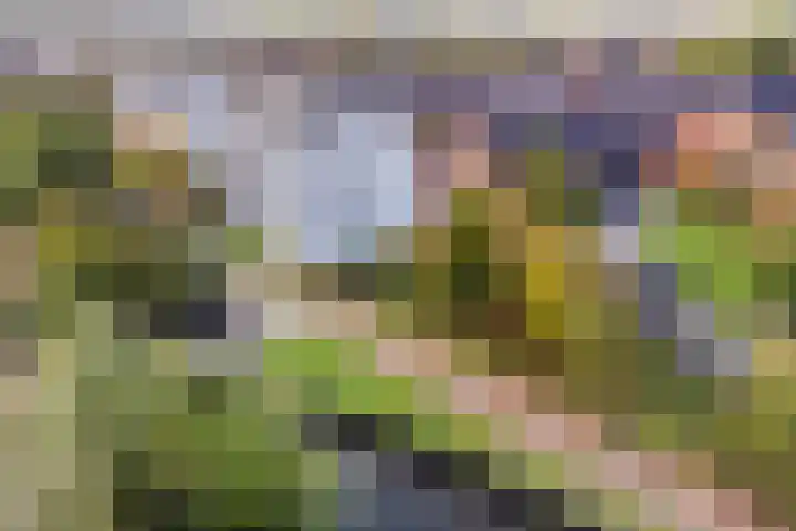 Zijpenbergerhout 9 Harderwijk thumbnail 35