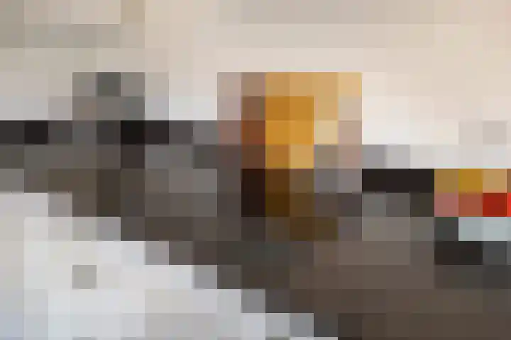 Zijpendaal 16 Eindhoven thumbnail 19