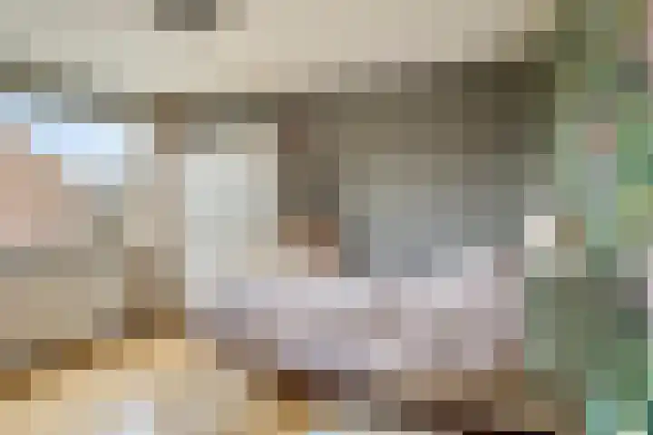 Zijpendaal 16 Eindhoven thumbnail 23