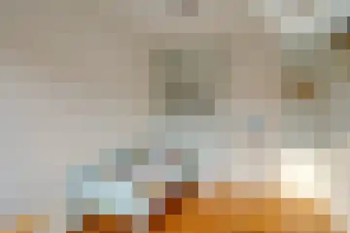 Zijpendaal 16 Eindhoven thumbnail 27